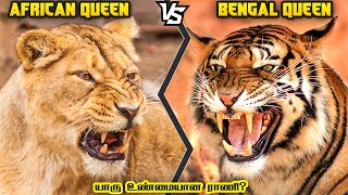 பெண் சிங்கம் vs பெண் புலி | Lioness vs Tigress in Tamil | Savage Point
