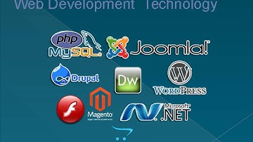 web design and web development company in jaipur