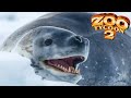 Leopard Seal Exhibit Speed Build - Zoo Tycoon 2