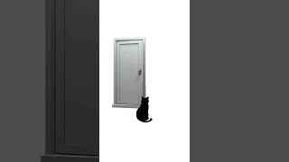 Котик и дверь