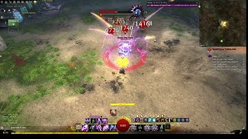 GW2 Accessibility Challenge | (Condition) DPS Virtuoso