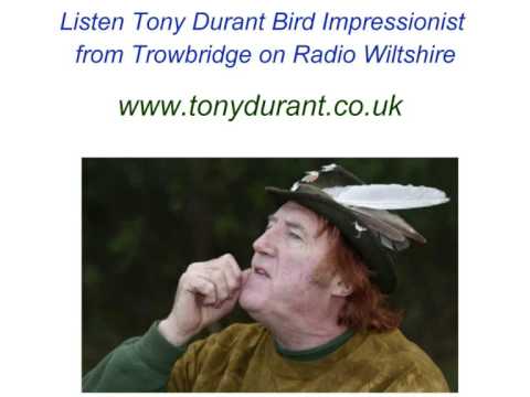 Listen Tony Durant (Bird Impressionist) from Trowbridge on BBC Radio Wiltshire