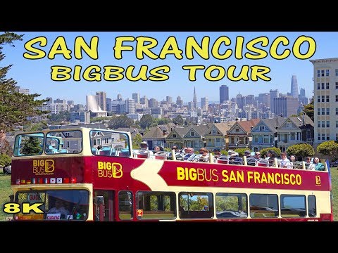 Video Big Pink Bus Tour Seattle