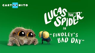 Lucas the Spider - Findley's Bad Day - Short