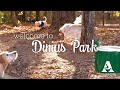 Dinius park now open