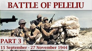 Battle of Peleliu 1944 / Part 3 – Maintaining Momentum