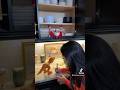 ELF ON THE SHELF NIGHT 3 elf mom momsoftiktok momlife fyp elfontheshelfideas relatable mp3