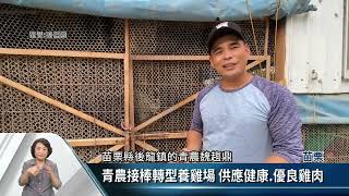 後龍青農創業有成 後龍鎮公所協助推廣【客家新聞20221128】
