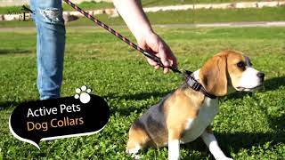 Active Pets Comfy Collar by ActivePets 24 views 2 years ago 31 seconds