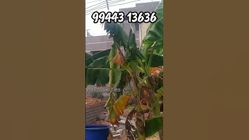 Plot for sale in Erode ready to occupy plot for sale Mylu Properties Plot for sale in Erode