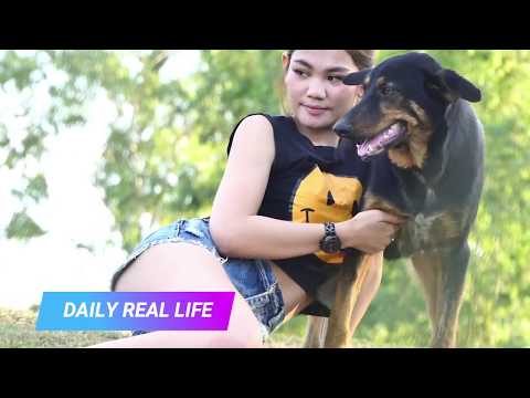 Lovely smart girl Playing Baby Cute Dogs On Rice Fields - Puppies Funny smart girl playing with dogs