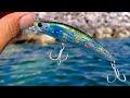 Pesca con MINNOW || JARKBAIT || MEDIA AGUA en ALTAMAR.