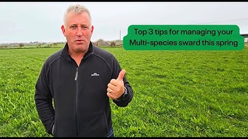Top tips for managing your Multi-species sward this spring
