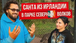 видео: Долгожданная встреча с ВОЛКАМИ 😱 их познакомил ВОЛК 🐺  картинка: Долгожданная встреча с ВОЛКАМИ 😱 их познакомил ВОЛК 🐺