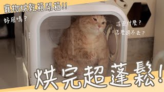 寵物烘乾箱好用嗎烘完超蓬鬆直接幫貓洗澡實測