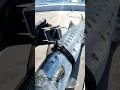 ANIMAL POV: Barracuda Explores Ghostly WWII Shipwreck 🐟