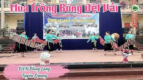 Múa Trồng Bông Dệt Vải | Bằng Lang Tuyên Quang | Hội Người Tày Bản Luông Cam Đường Lào Cai
