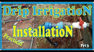 Drip Irrigation  Installation PRACTICAL