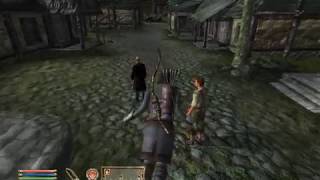 An average day in Leyawiin - Oblivion