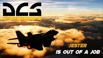 The F-14 RIO Experience | BVR Duel | DCS World