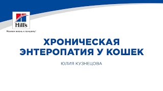 Вебинар на тему: “Хроническая энтеропатия у кошек”. Лектор - Юлия Кузнецова.