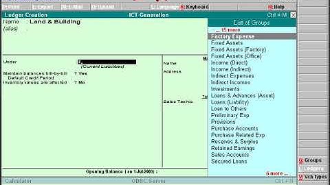 Accounting Software Tally in Bangla - Chart of Accounts , Ledger Create Part3