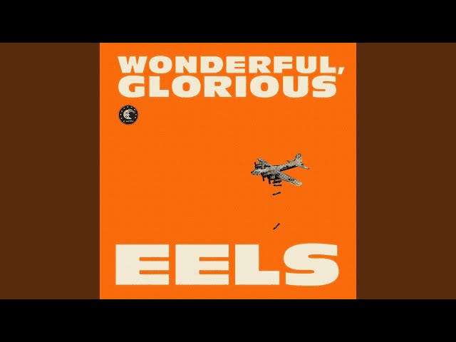 Eels – Mistakes of My Youth/Wonderful, Glorious Lyrics