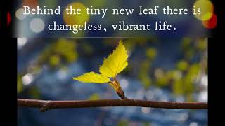 ~ 𝐉𝐚𝐢𝐧𝐢𝐬𝐦 ~ The Changeless beneath the Changes - Chitrabhanu