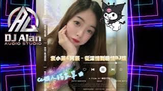 2024新歌發佈🎶袁小葳&阿辰(閻辰) - 從深情到絕情 DJRemix🎶DJ緯翔Remix 《Cc 個人獨家單曲 》
