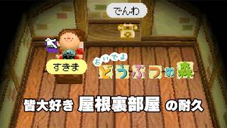 【おい森 BGM】屋根裏部屋【どうぶつの森 BGM 耐久／睡眠用／作業用／勉強用】ACWW ost attic