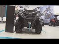 CFMoto CForce 450L EPS 4x4 (2020) Exterior and Interior