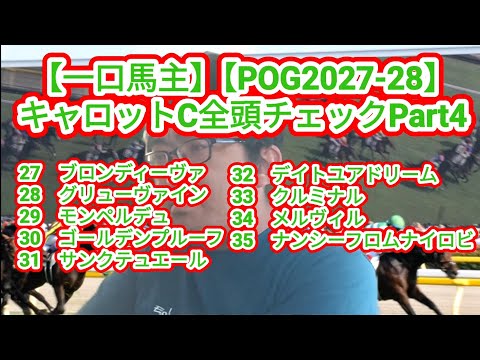 Syndicated Horse Owner] [POG 2027-28] Carrot Club: All Horses