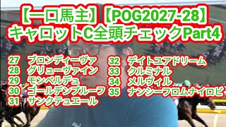 Syndicated Horse Owner] [POG 2027-28] Carrot Club: All Horses