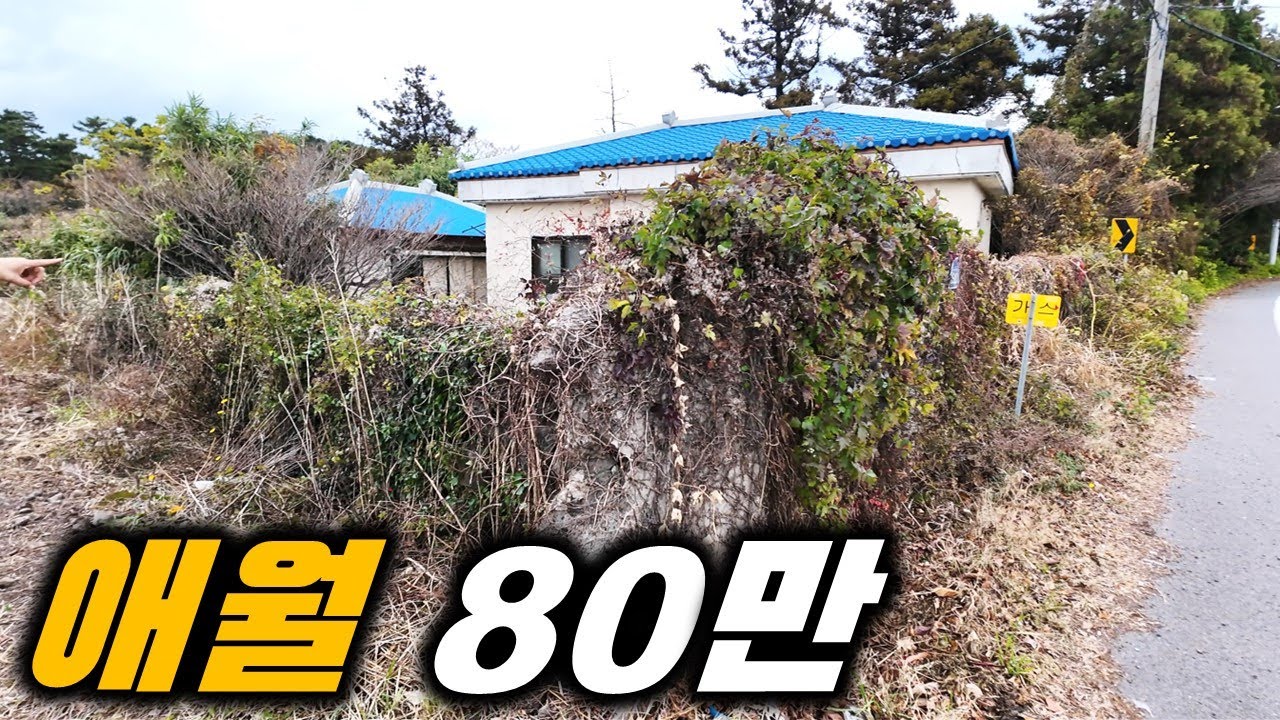 제주도에 분위기 좋은 곳입니다 L-412 아늑한 이 공간을 꾸며 주세요