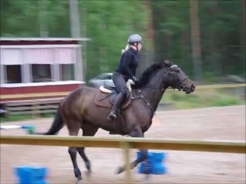 Maxmilian Gräfen klinkka Mimmu