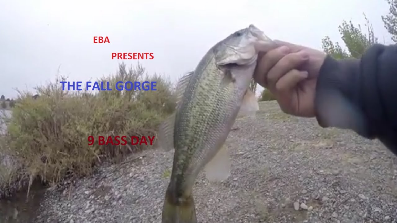 Quarry Lakes Bass Fishing Bay Area Fremont California YouTube