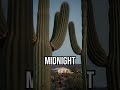 Wind makes myths #cactus #naturefacts #sound