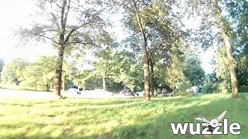 wuzzle on QAV210: poplar wood with Betaflight 2.9.0