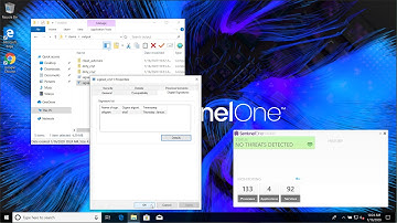 SentinelOne VS CVE-2020-0601