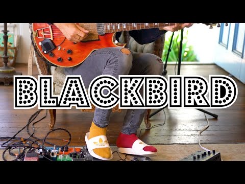 Blackbird  | Beatles | Acoustic Cover by Rotem Sivan