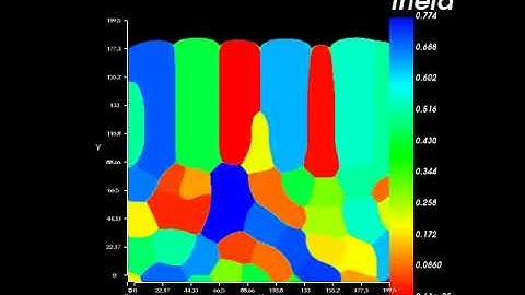 Phase field simulation of homoepitaxial grain growth