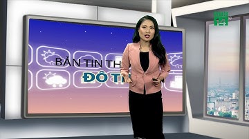 Thời tiết đô thị 12/10/2019: Đà Nẵng ngày nắng đẹp, nhiệt độ cao nhất từ 30-31 độ | VTC14