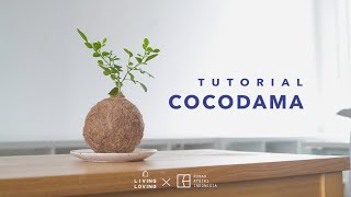 Tutorial Membuat Cocodama