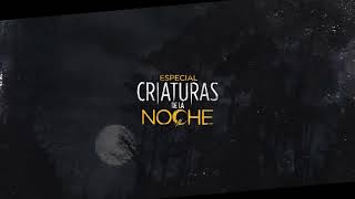 Especial Criaturas De La Noche I Cinemax Latinoamérica