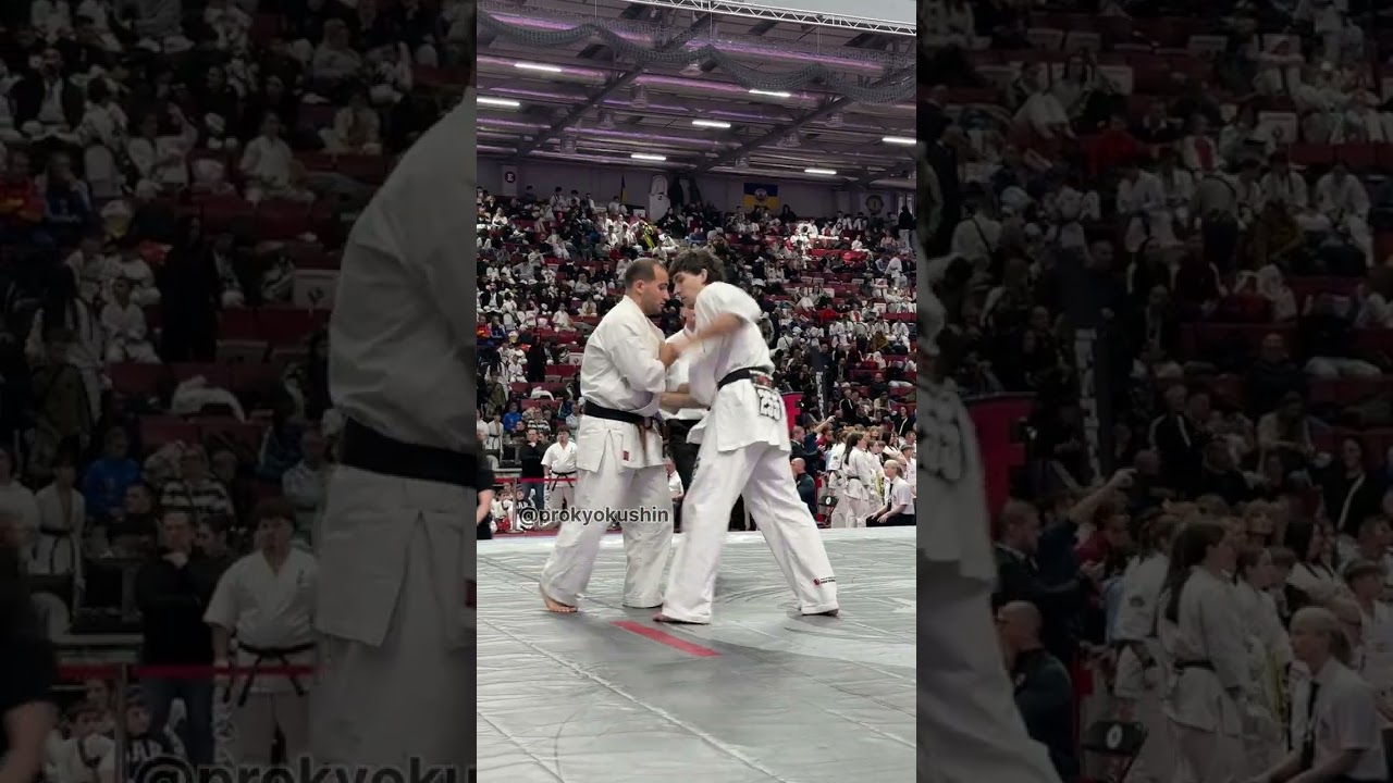 1/8 -80kg Lasha Babuadze (GEO, aka) - Gergel Fekete (HUN) WKB World Kyokushin Karate Championship 