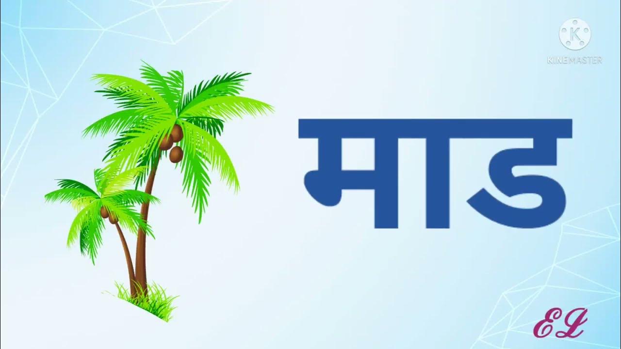 essay on coconut tree in konkani language