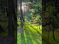 Красота ❤️
