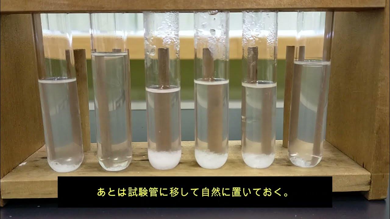 20221214 塩化アンモニウムの再結晶 YouTube