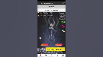 hướng dẫn chơi pipet trong pi browers ! #pinetwork