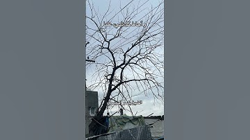 #المصحف #القرآن_الكريم #سورة_الأنعام #الشيخ_ياسر_الدوسري